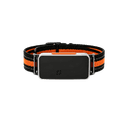 A29 - 4G GPS Pet Tracker with Real-Time Tracking and Activity Monitoring | OEM/ODM Supplier