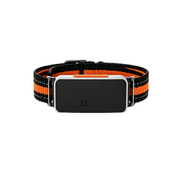 A29 - 4G GPS Pet Tracker with Real-Time Tracking and Activity Monitoring | OEM/ODM Supplier 1